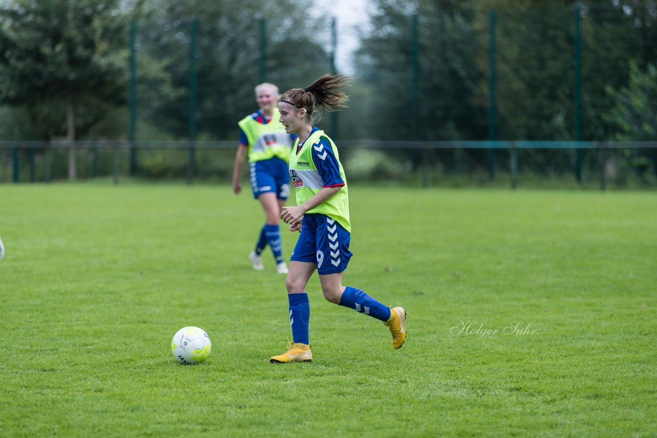 Bild 322 - B-Juniorinnen VfL Pinneberg - HSV : Ergebnis: 1:4